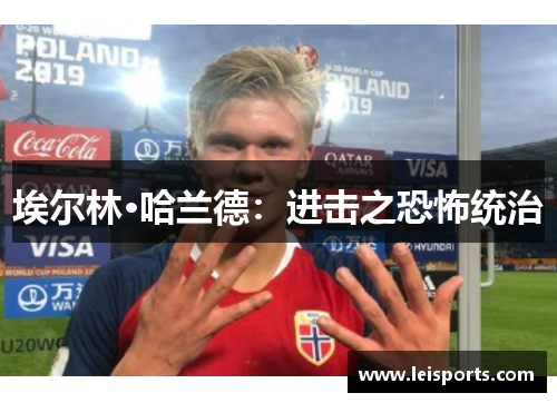埃尔林·哈兰德：进击之恐怖统治